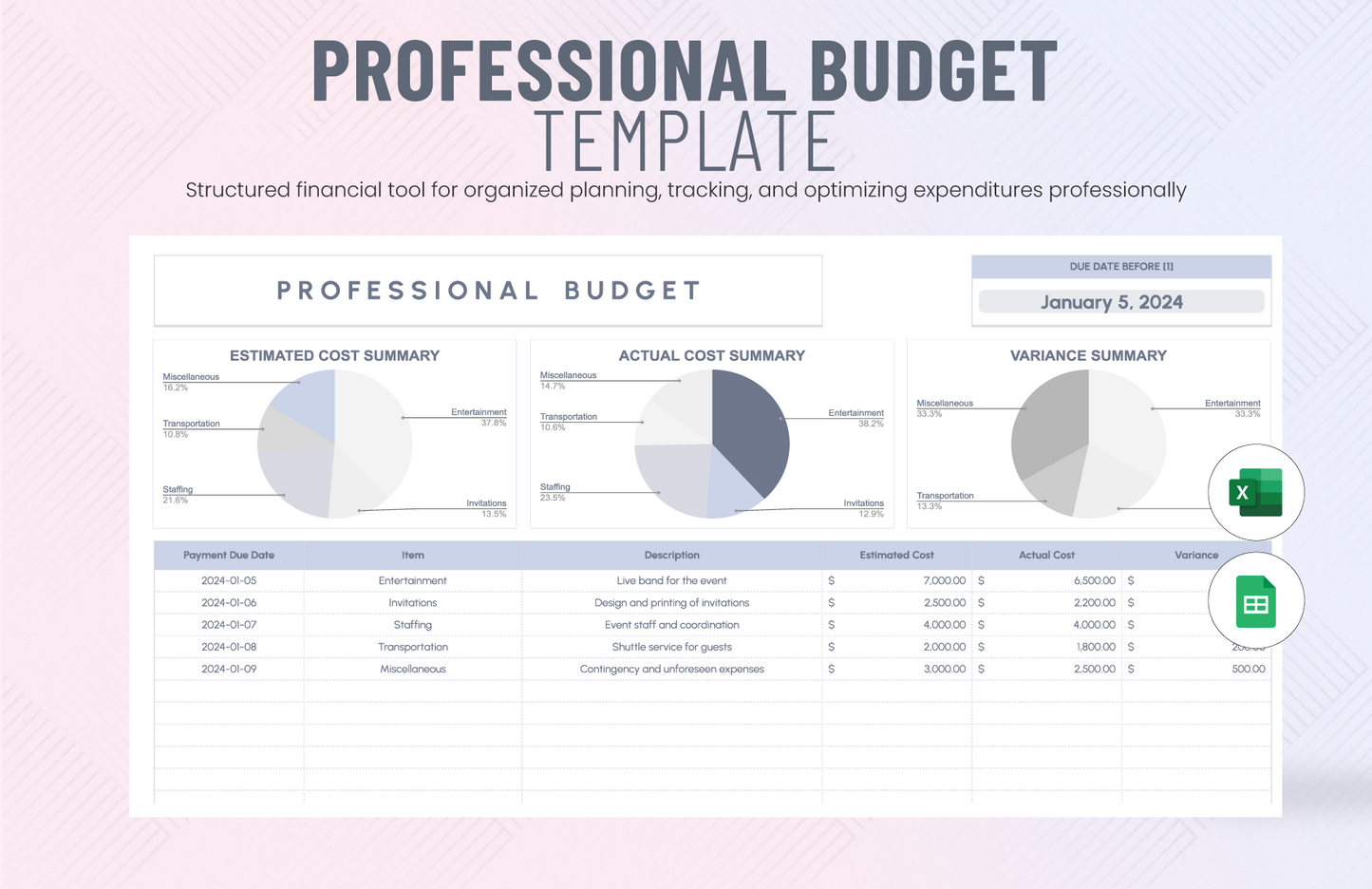 Professional Budget Template