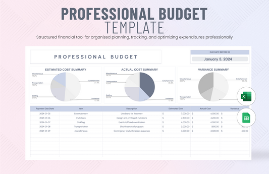 Professional Budget Template